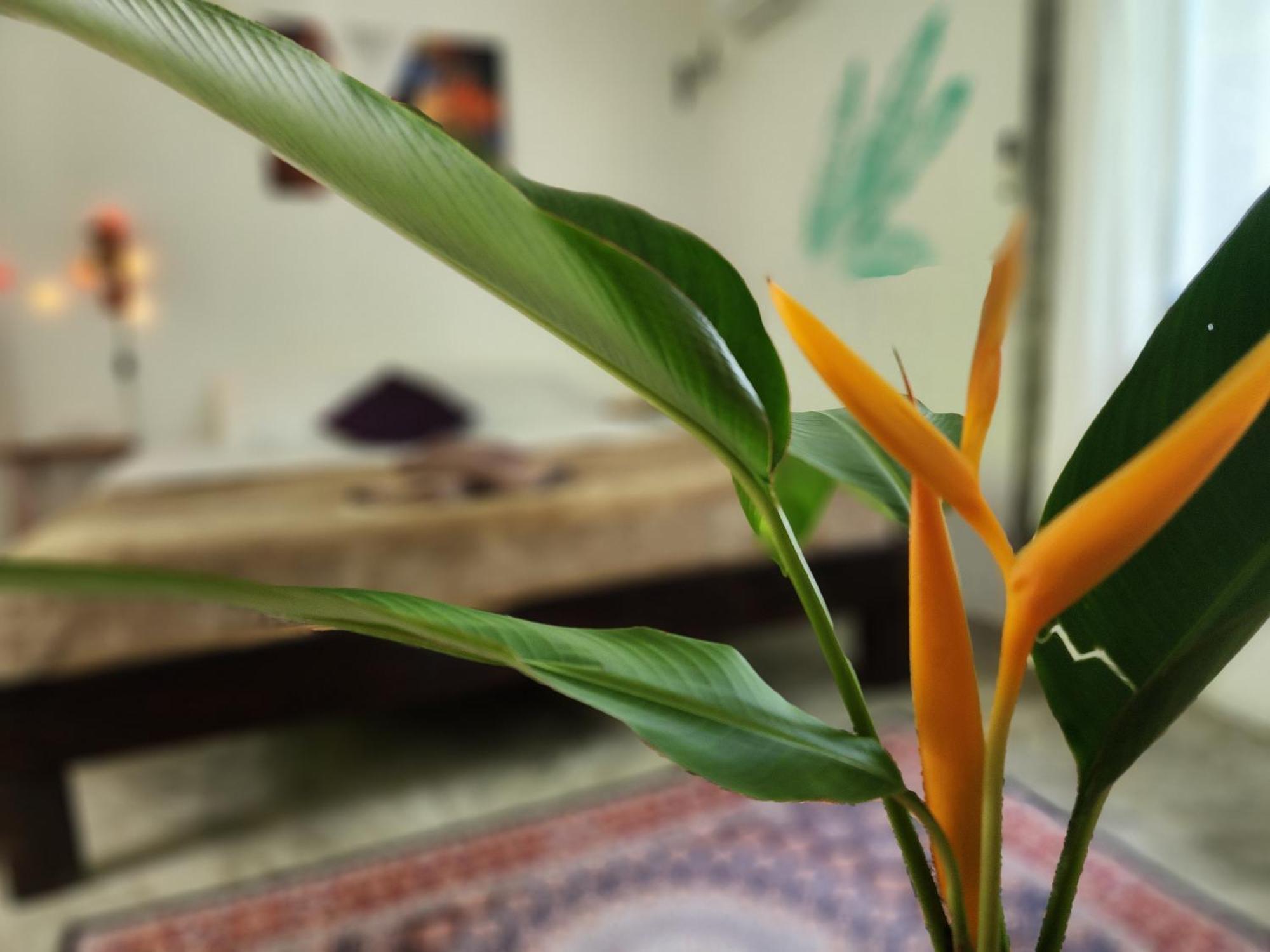 Feel Home No 3 Private House 2Br Hinkong エクステリア 写真