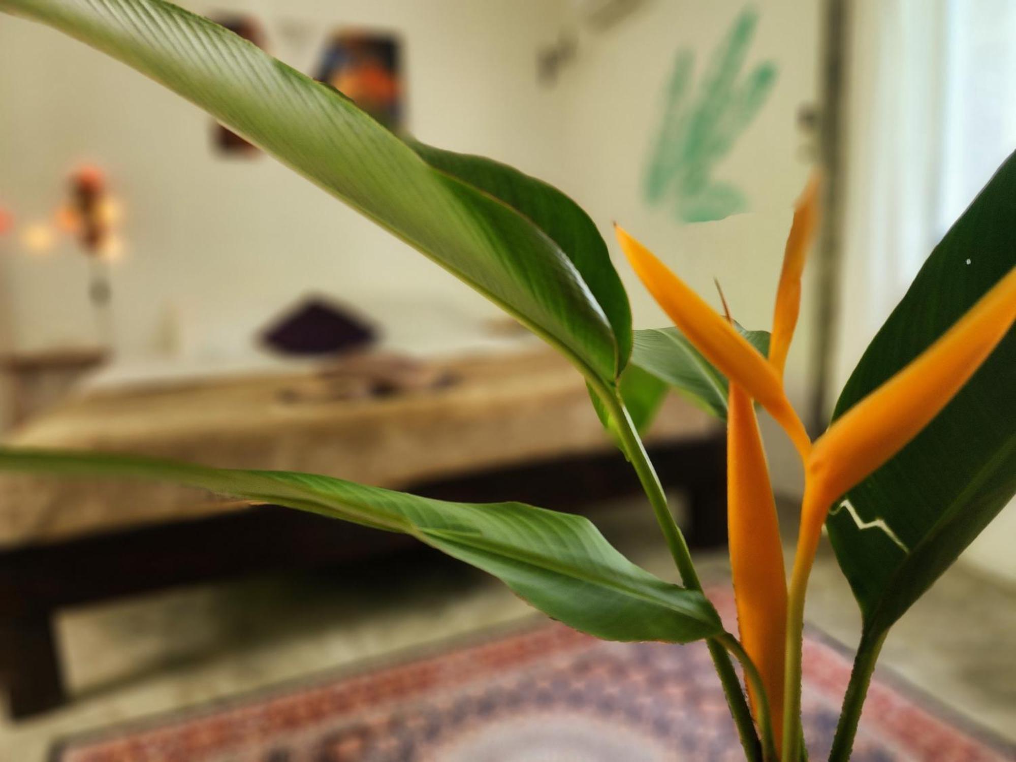 Feel Home No 3 Private House 2Br Hinkong エクステリア 写真
