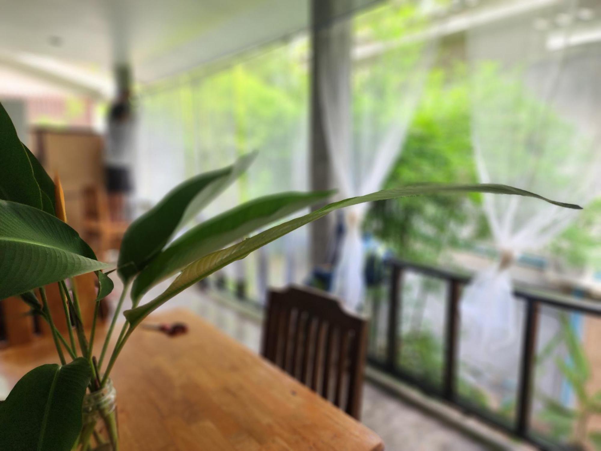 Feel Home No 3 Private House 2Br Hinkong エクステリア 写真
